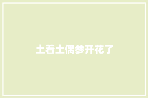土着土偶参开花了