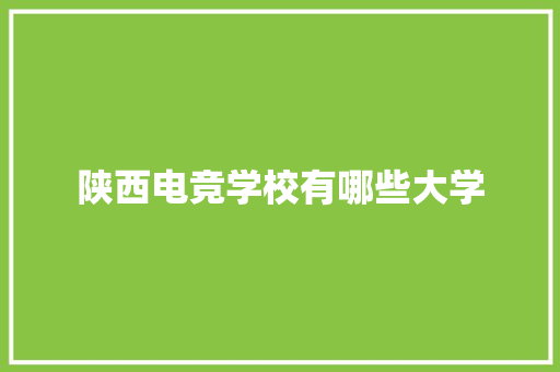陕西电竞学校有哪些大学