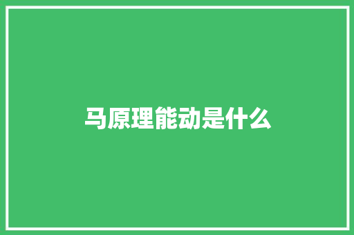 马原理能动是什么