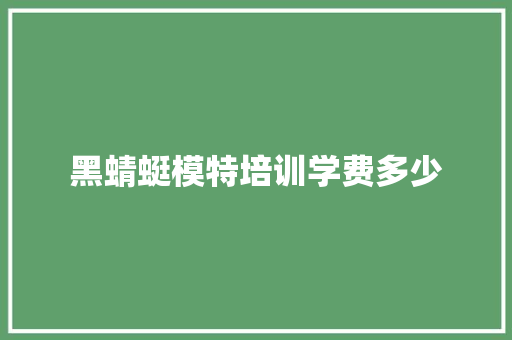 黑蜻蜓模特培训学费多少