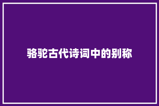 骆驼古代诗词中的别称