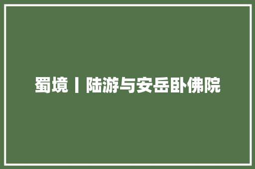 蜀境丨陆游与安岳卧佛院