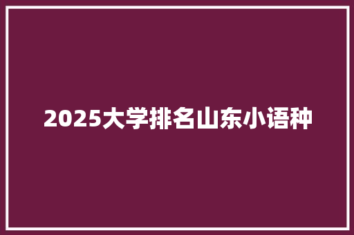 2025大学排名山东小语种