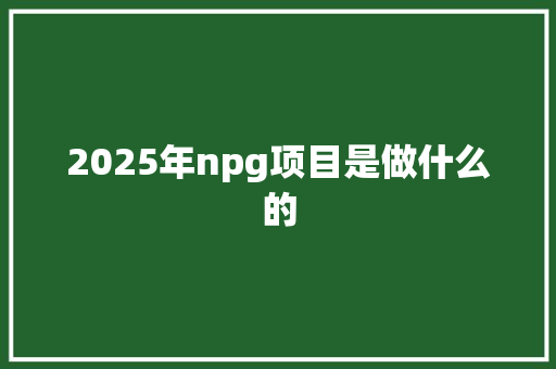 2025年npg项目是做什么的