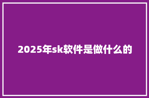 2025年sk软件是做什么的