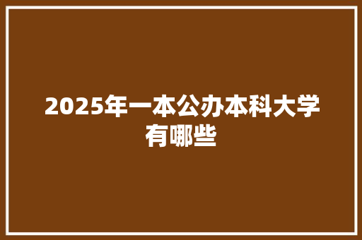 2025年一本公办本科大学有哪些