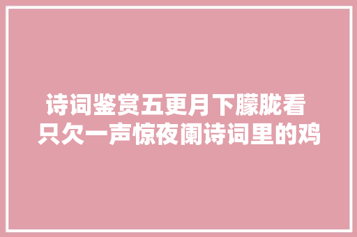 诗词鉴赏五更月下朦胧看 只欠一声惊夜阑诗词里的鸡冠花