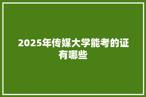 2025年传媒大学能考的证有哪些