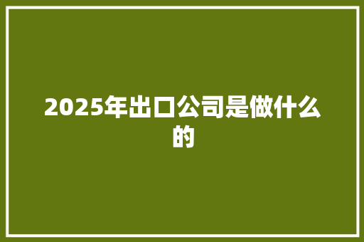 2025年出口公司是做什么的