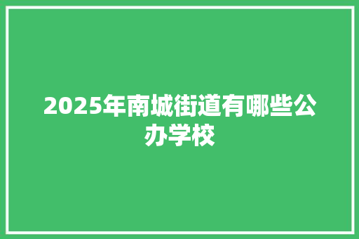 2025年南城街道有哪些公办学校