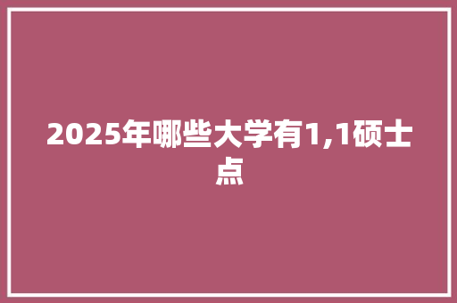 2025年哪些大学有1,1硕士点