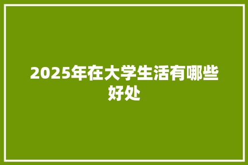 2025年在大学生活有哪些好处
