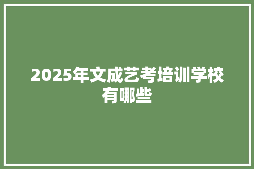 2025年文成艺考培训学校有哪些