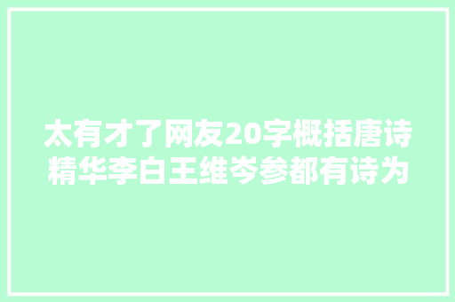 太有才了网友20字概括唐诗精华李白王维岑参都有诗为证