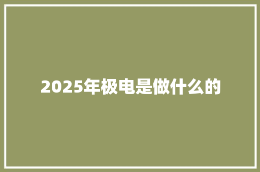 2025年极电是做什么的