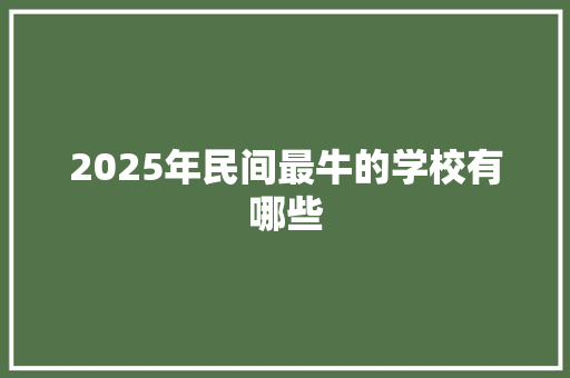 2025年民间最牛的学校有哪些