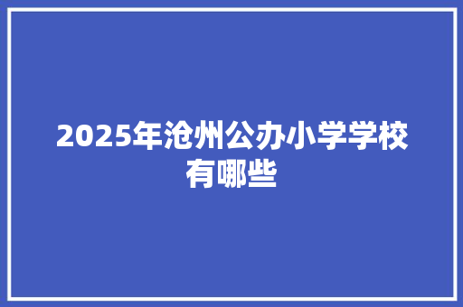 2025年沧州公办小学学校有哪些