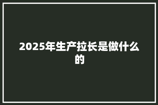 2025年生产拉长是做什么的