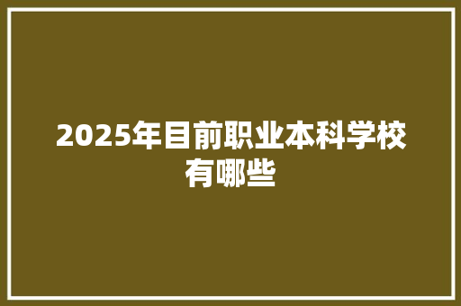 2025年目前职业本科学校有哪些