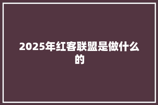2025年红客联盟是做什么的