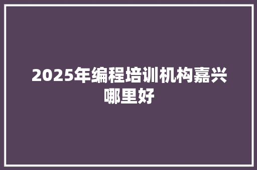2025年编程培训机构嘉兴哪里好