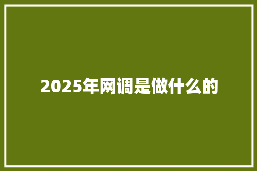 2025年网调是做什么的