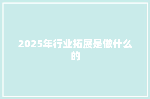 2025年行业拓展是做什么的