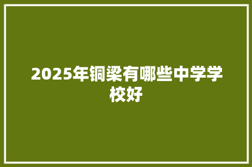 2025年铜梁有哪些中学学校好