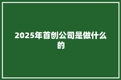 2025年首创公司是做什么的