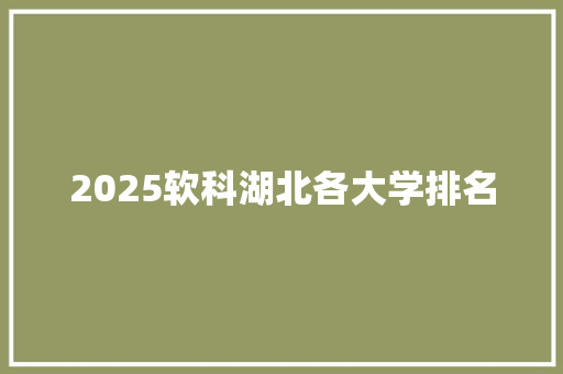 2025软科湖北各大学排名