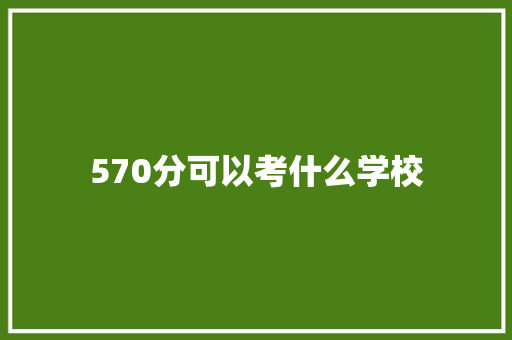 570分可以考什么学校