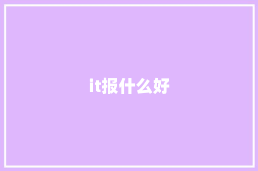 it报什么好