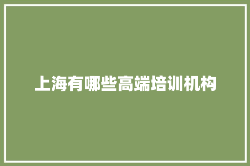 上海有哪些高端培训机构