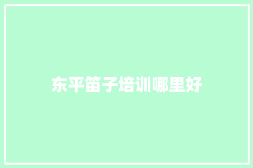 东平笛子培训哪里好