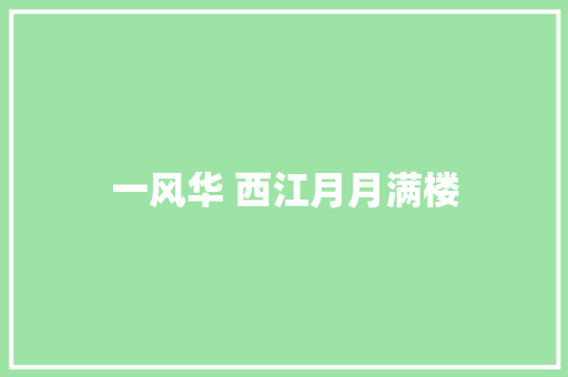 一风华 西江月月满楼
