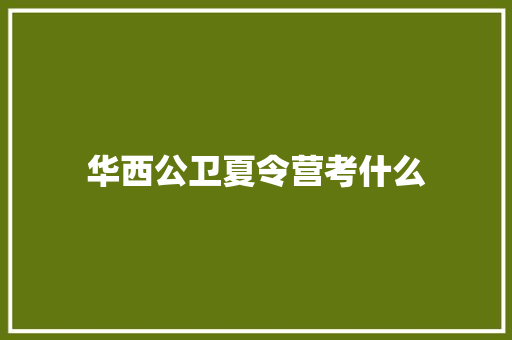 华西公卫夏令营考什么