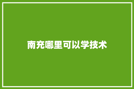 南充哪里可以学技术