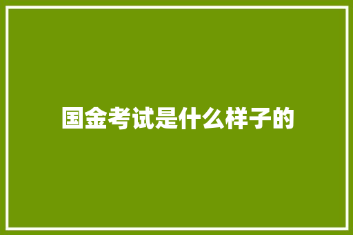 国金考试是什么样子的