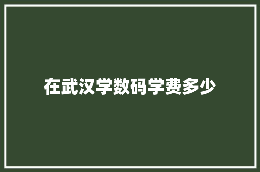 在武汉学数码学费多少