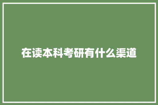 在读本科考研有什么渠道