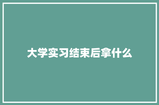 大学实习结束后拿什么