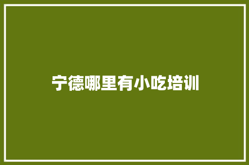 宁德哪里有小吃培训