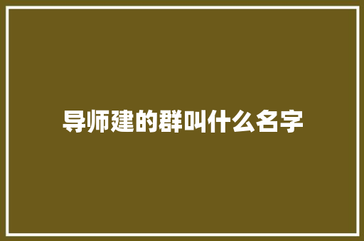 导师建的群叫什么名字