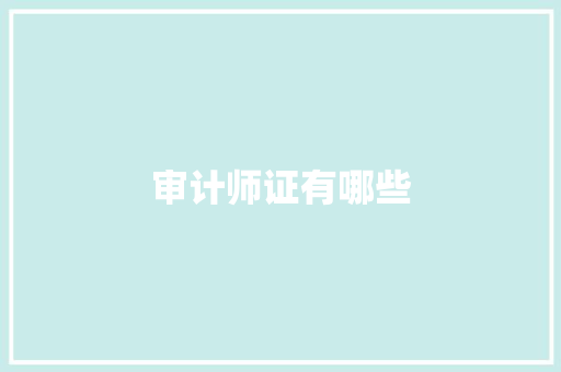 审计师证有哪些