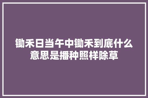 锄禾日当午中锄禾到底什么意思是播种照样除草