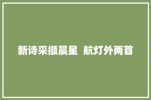 新诗采撷晨星  航灯外两首