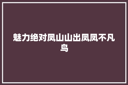 魅力绝对凤山山出凤凤不凡鸟
