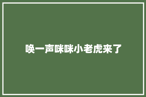 唤一声咪咪小老虎来了