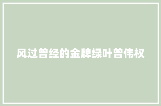 风过曾经的金牌绿叶曾伟权