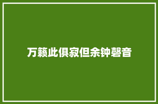 万籁此俱寂但余钟磬音